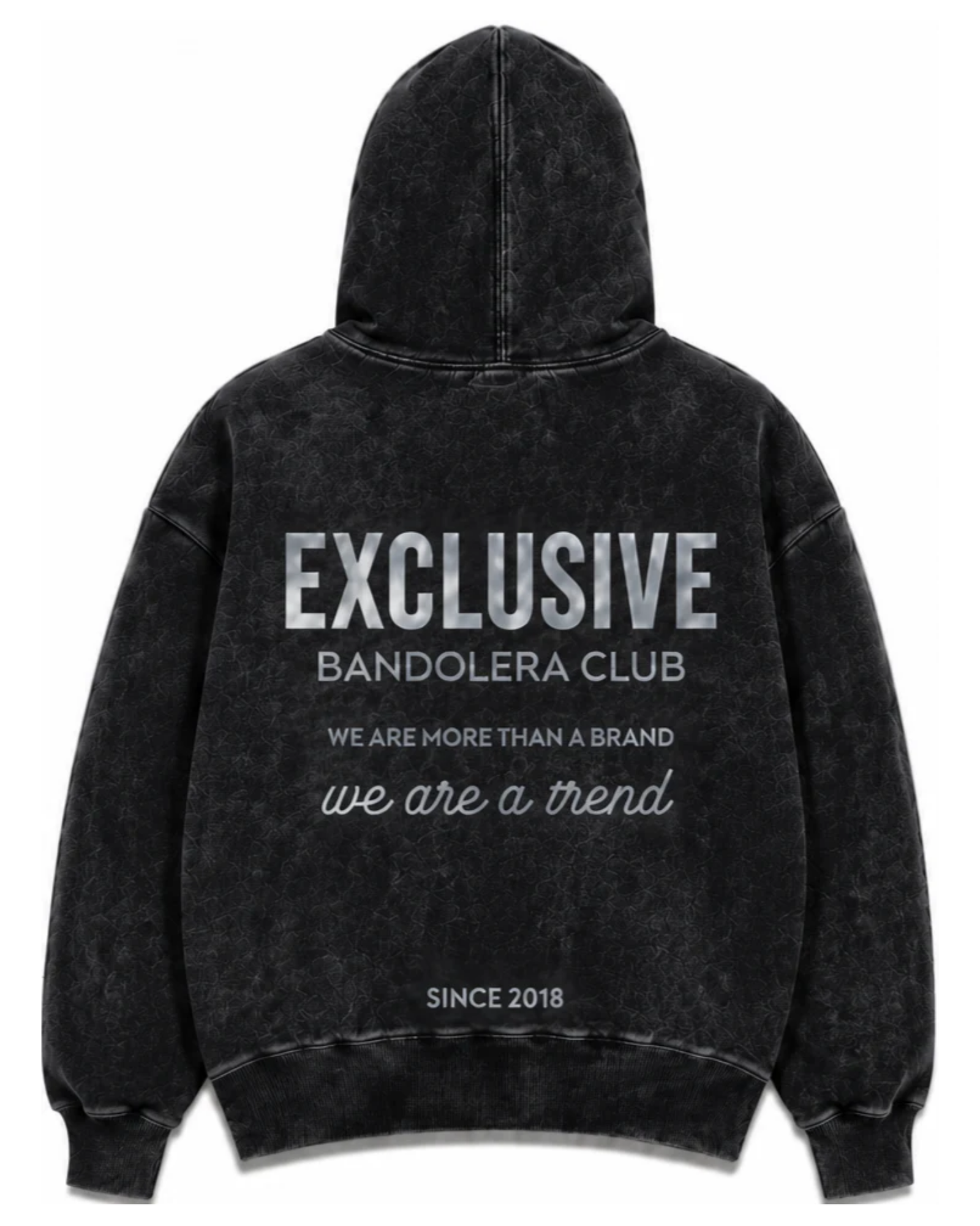 HOODIE EXCLUSIVE ACID WASH SILVER