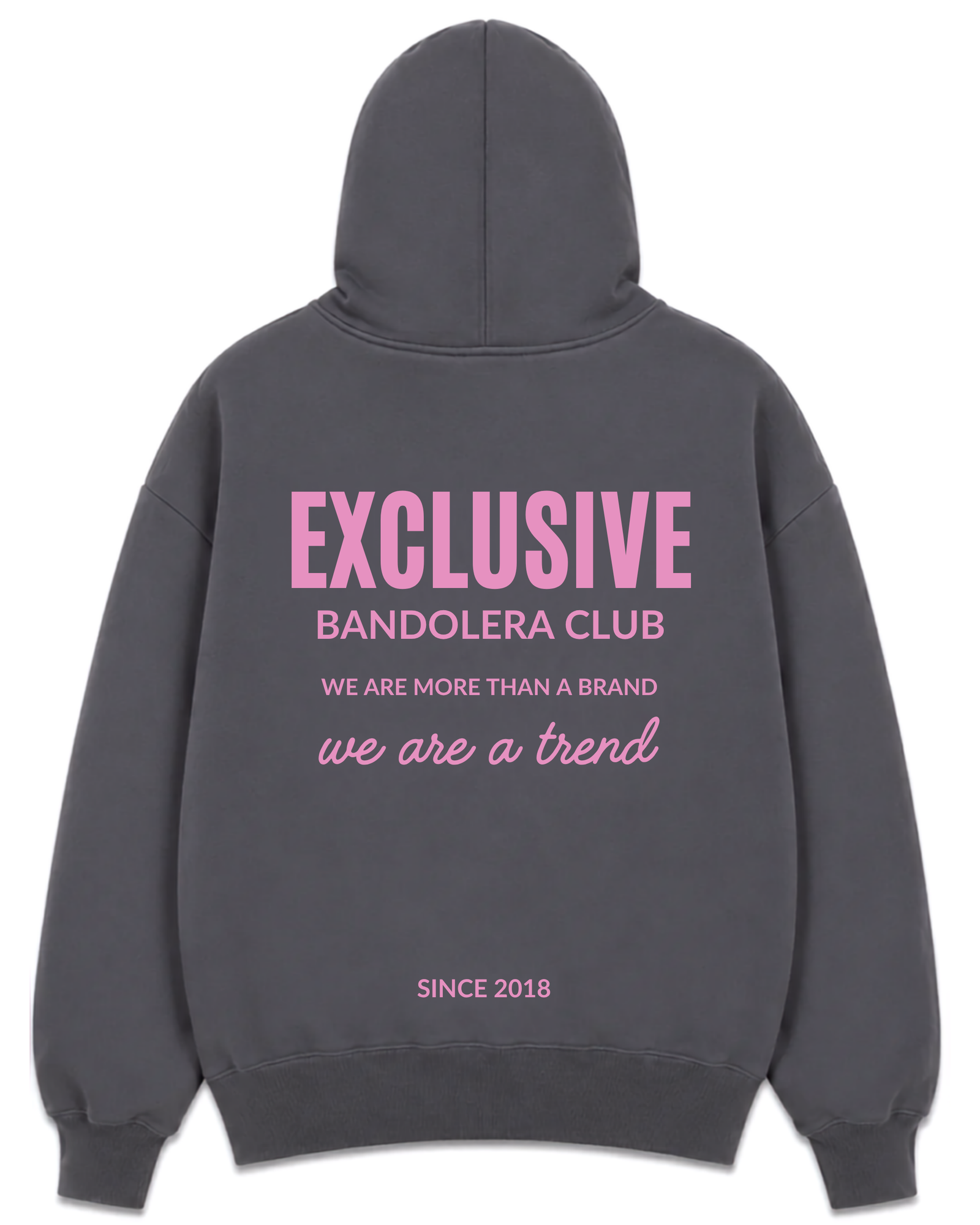 HOODIE EXCLUSIVE GREY PINK