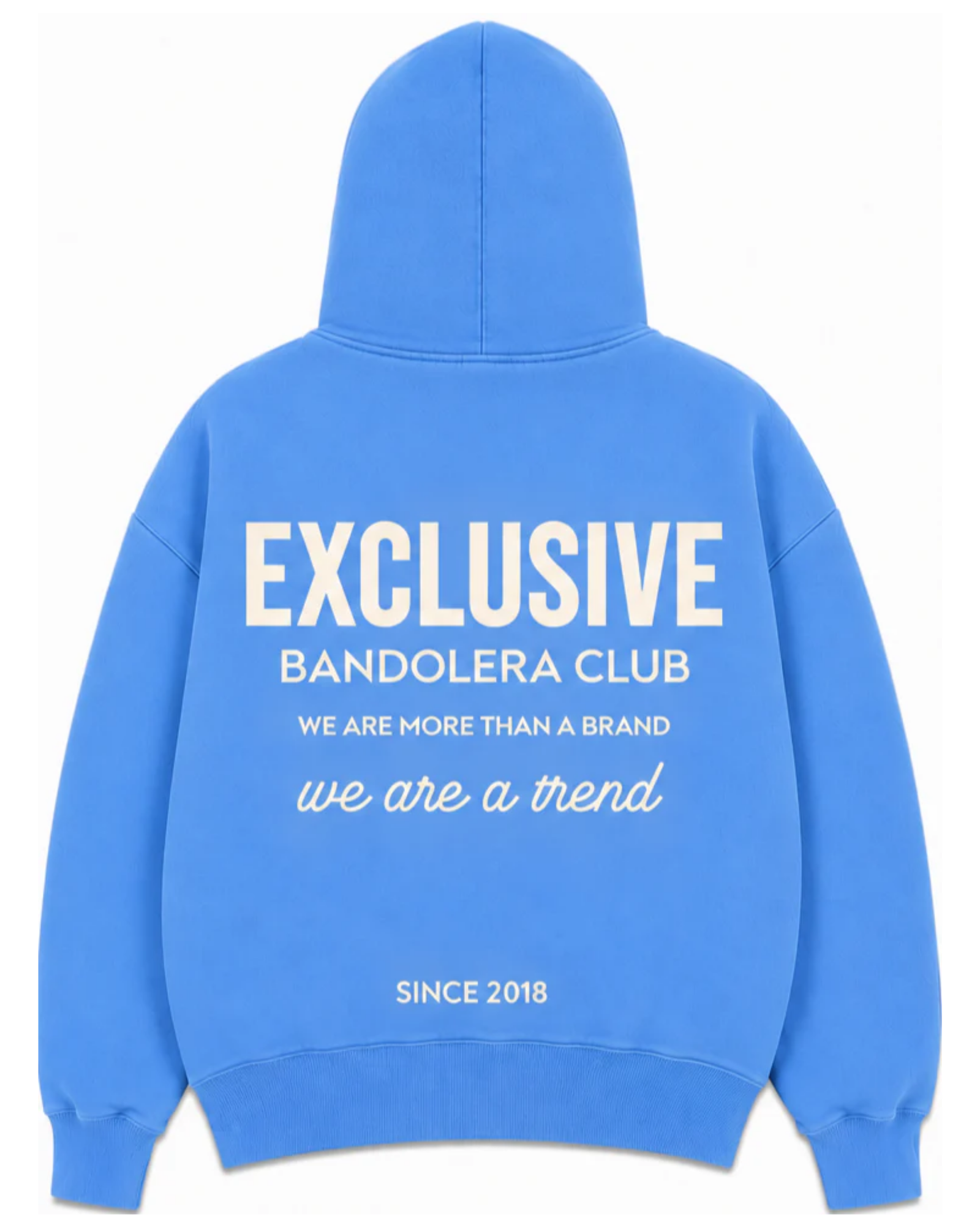 HOODIE EXCLUSIVE BLUE WHITE