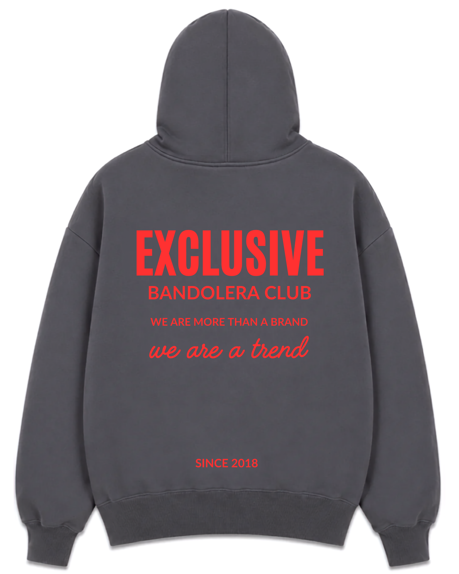 HOODIE EXCLUSIVE GREY RED