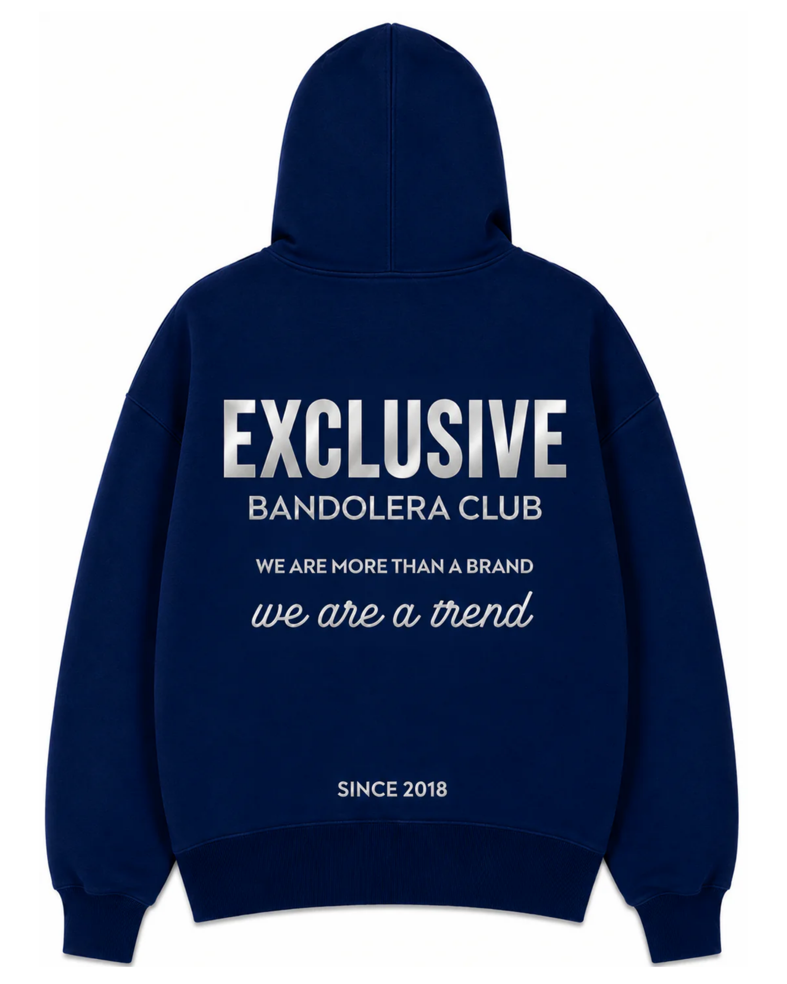 HOODIE EXCLUSIVE BLUE SILVER