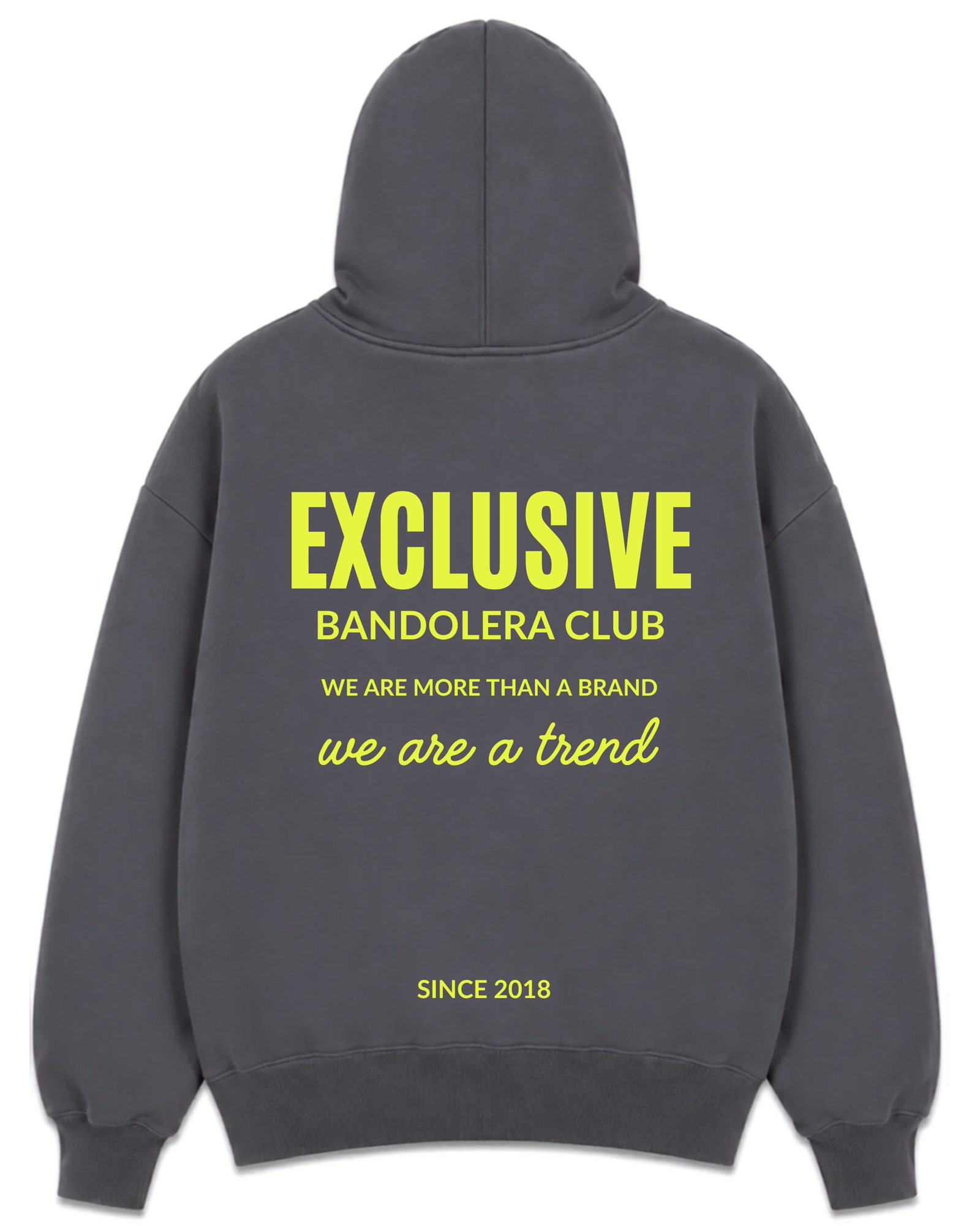 HOODIE EXCLUSIVE GREY BLONDIE