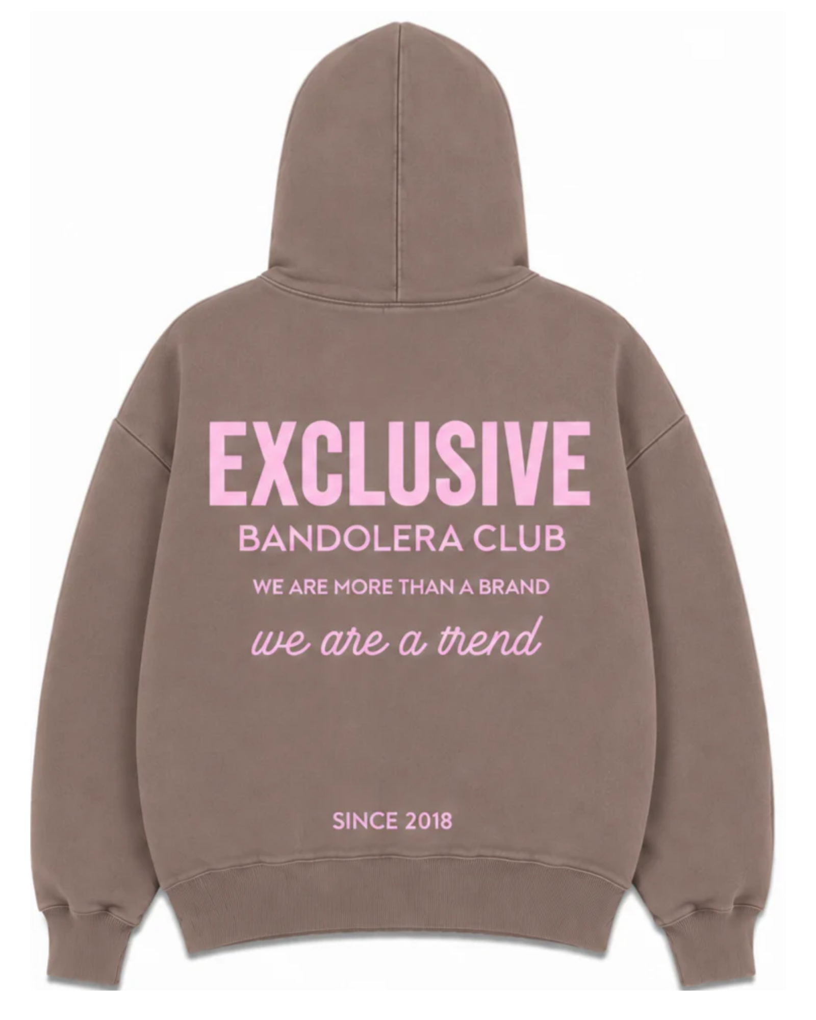 HOODIE EXCLUSIVE CAMEL PINK