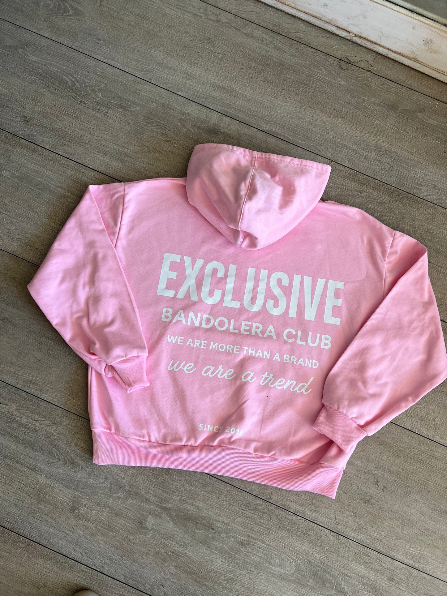 EXCLUSIVE ROSADO "MODELO CON FALLA" LEER DESCRIPCION